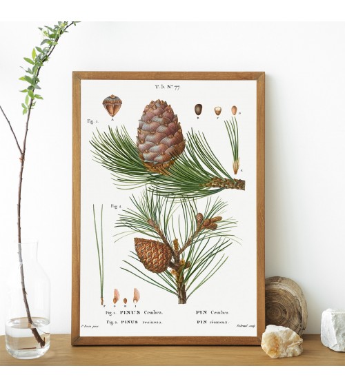 ПОШУМЉАВАЊЕ ШКОЛСКОГ ДВОРИШТА