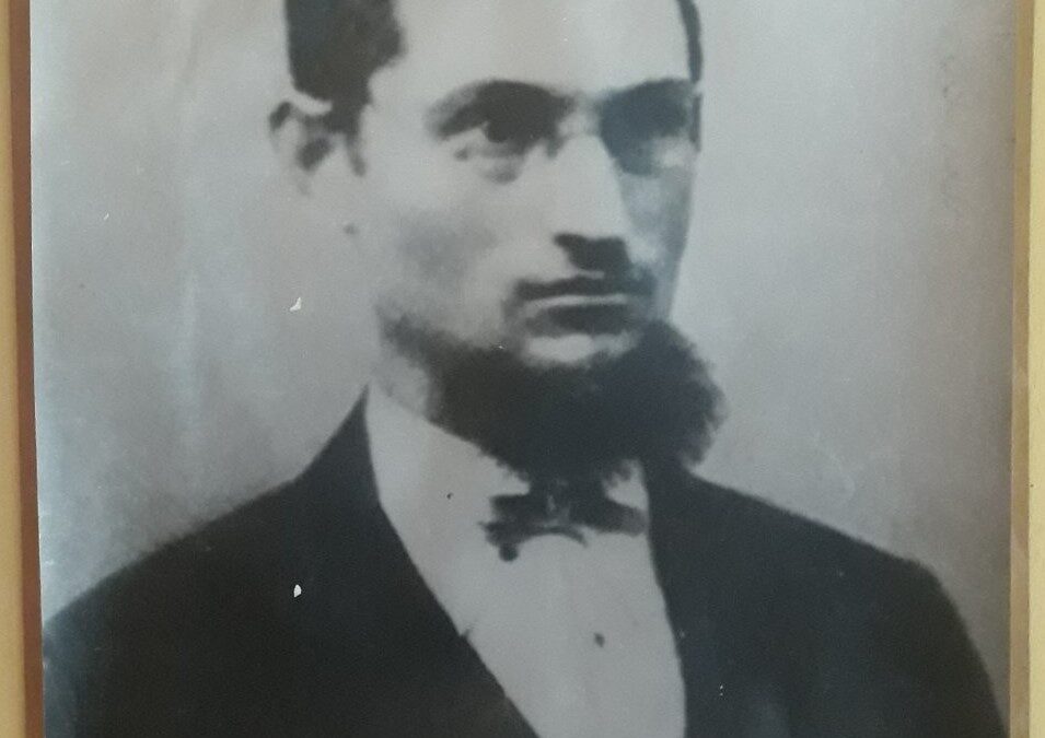 ЈОВАН ГРЧИЋ МИЛЕНКО  (1846-1875)